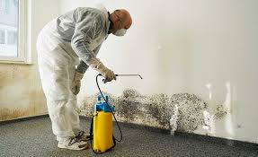 Cedar Bluff, VA Mold Remediation Company